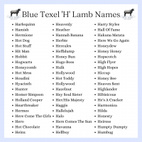 Letter 'H' Lamb Name Suggestions
