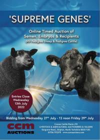 SKIPTON SUPREME GENES SALE - ENTRIES CLOSE WEDNESDAY 13TH JULY