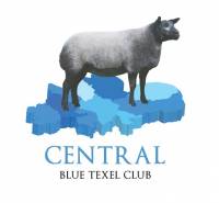 CENTRAL BLUE TEXEL CLUB