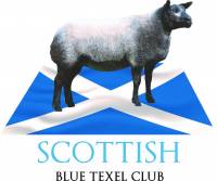 SCOTTISH BLUE TEXEL CLUB