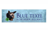 NORTHERN IRELAND BLUE TEXEL CLUB