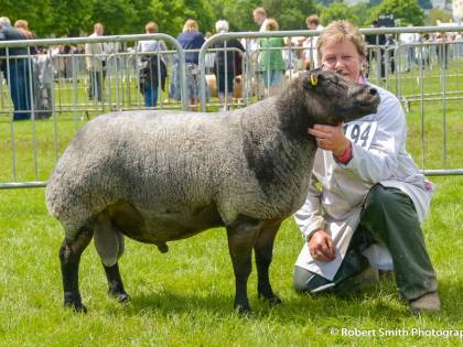 Three Counties Show 2016