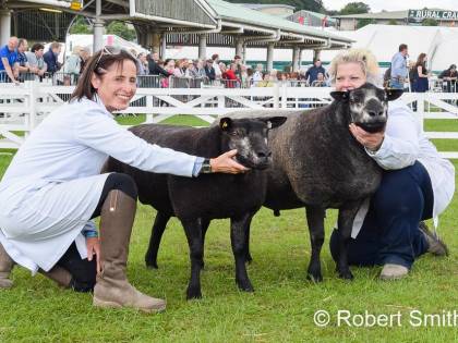 GT YORKSHIRE SHOW 2016