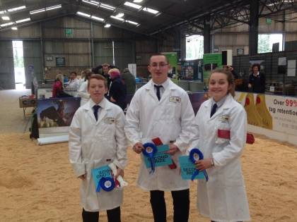 NATIONAL YOUNG SHOW STARS