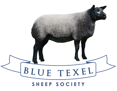 Blue Texel Sheep Society
